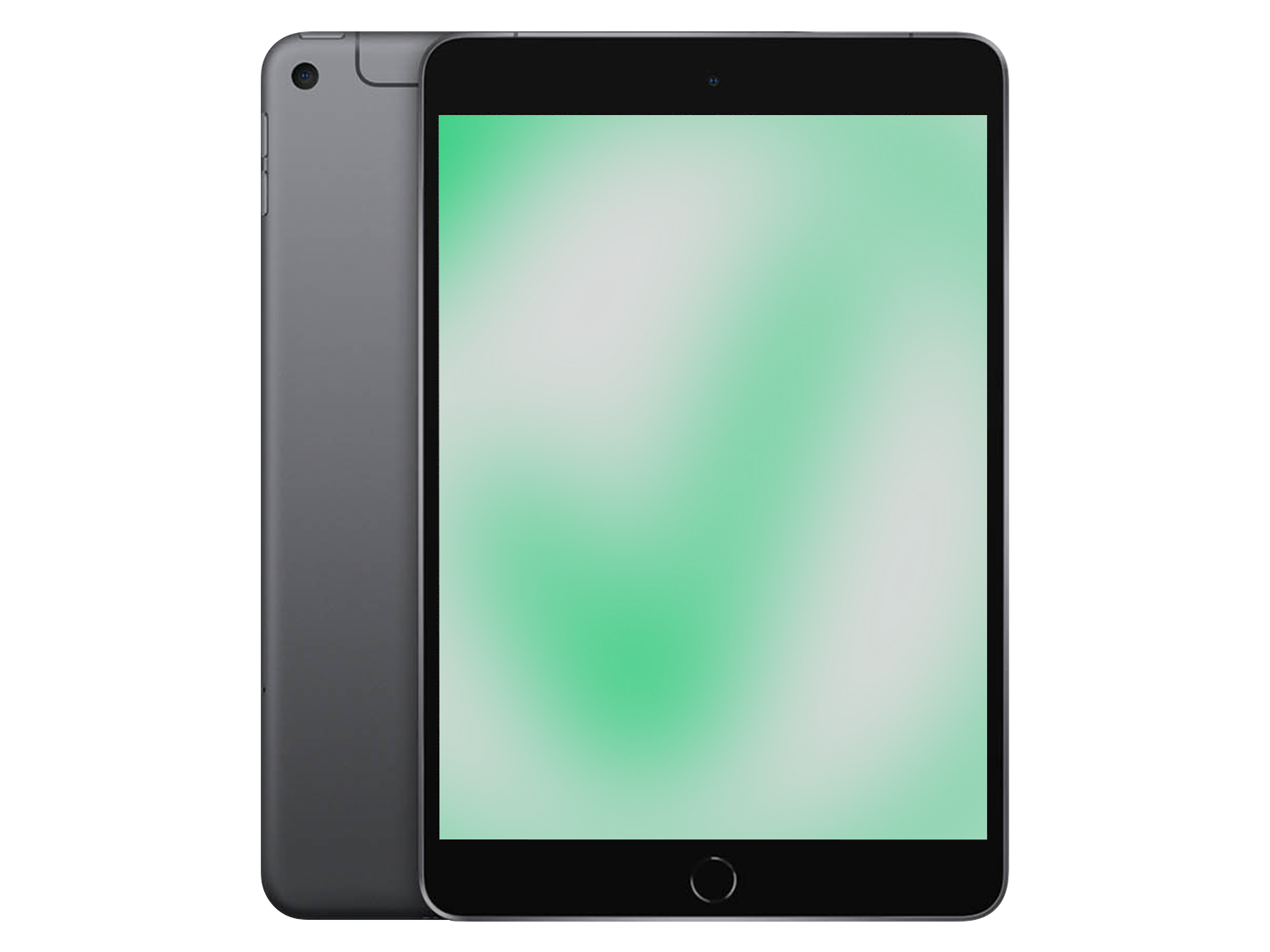 Apple iPad mini (2019) Space Gray günstig gebraucht kaufen