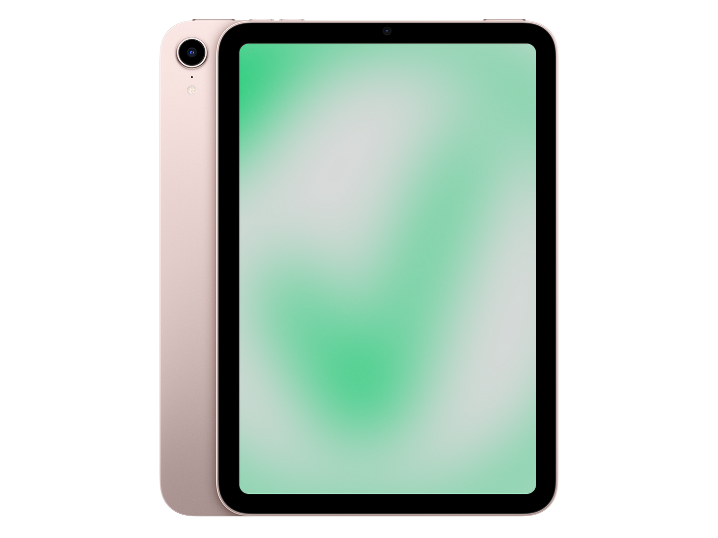 Apple iPad mini 6. Gen (2021) Rosé günstig gebraucht kaufen