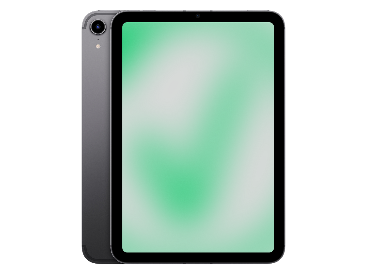 Apple iPad mini 6. Gen (2021) Space Grau günstig gebraucht kaufen