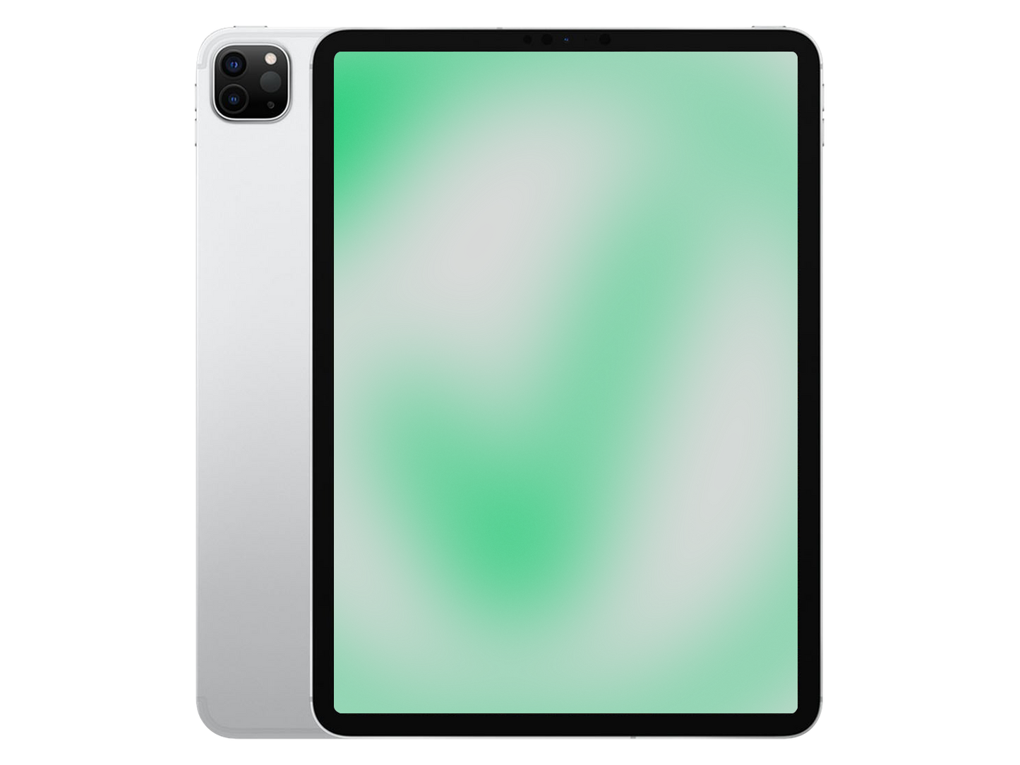 Apple iPad Pro 4. Gen (2020) Silber günstig gebraucht kaufen