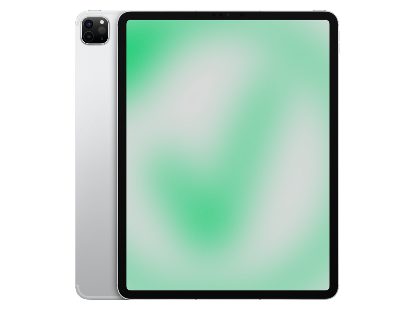 Apple iPad Pro 5. Gen (2021) 12.9" Silber günstig gebraucht kaufen