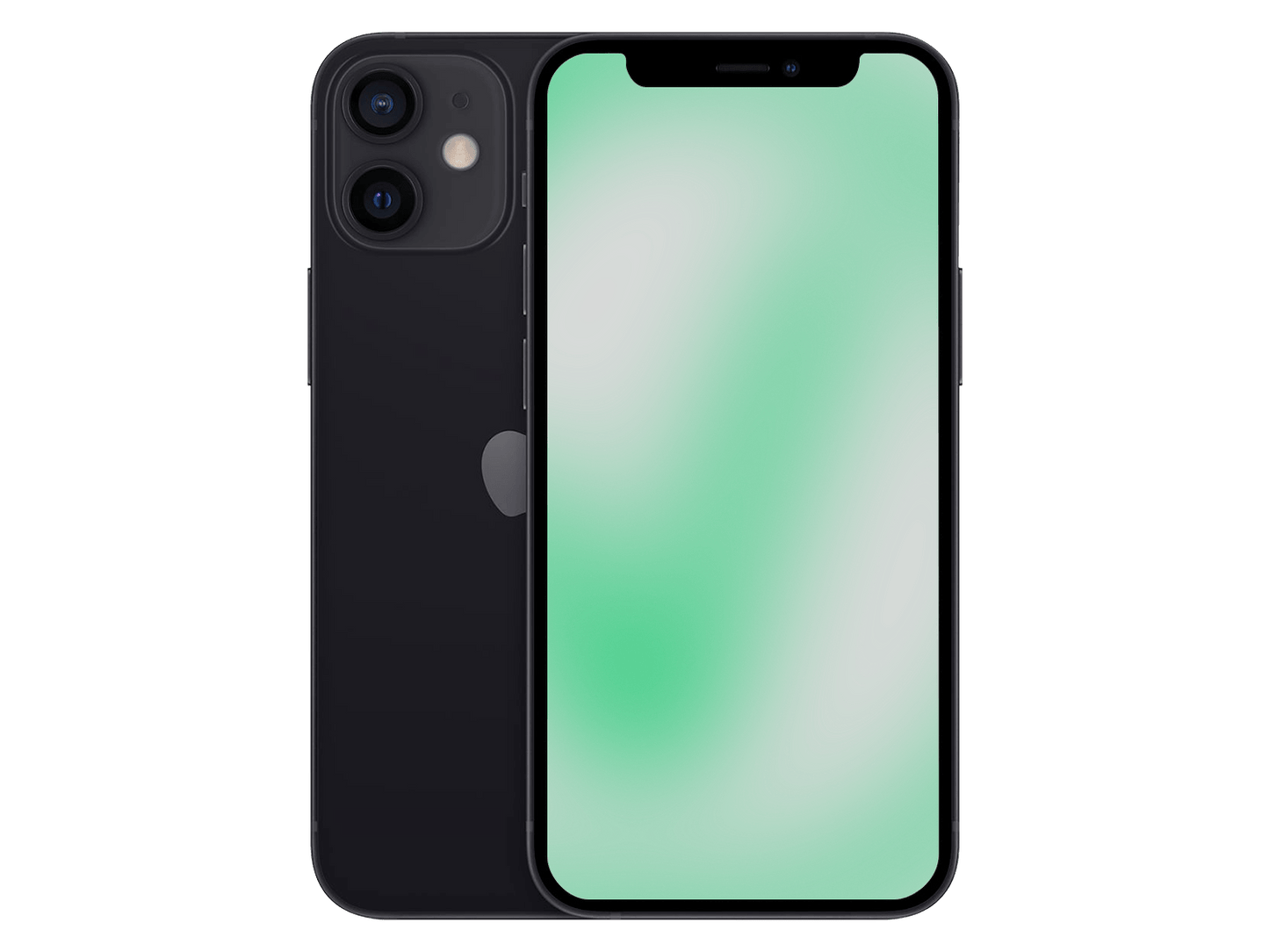 Apple iPhone 12 mini Schwarz günstig gebraucht kaufen