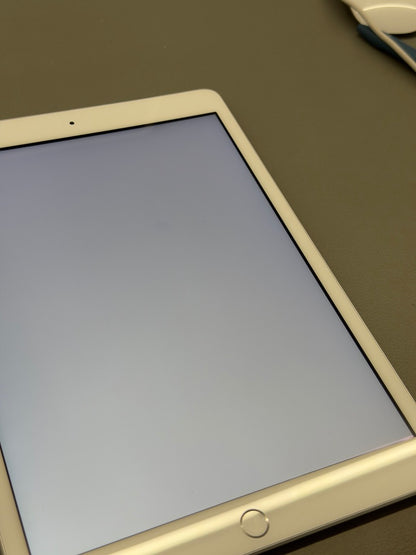 Apple iPad 7th gen (2019) Silber günstig gebraucht kaufen