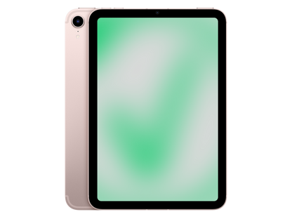 Apple iPad mini 6. Gen (2021) Rosé günstig gebraucht kaufen