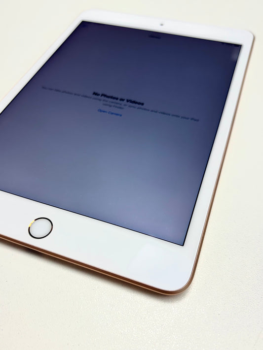 Apple iPad mini (2019) Gold günstig gebraucht kaufen