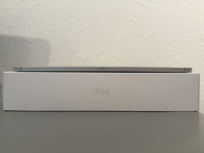 Apple iPad 10. Gen (2022) Silber günstig gebraucht kaufen