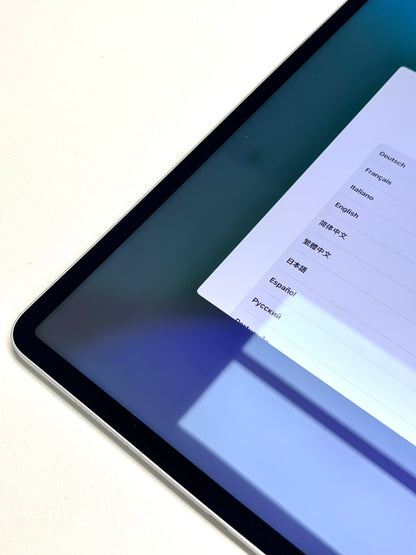 Apple iPad Pro 5. Gen (2021) 12.9" Silber günstig gebraucht kaufen