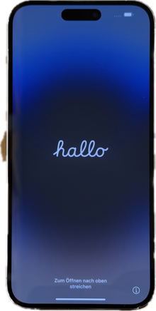Apple iPhone 14 Pro Max Apple A16 Bionic (4 nm) 14 Pro Max Silber Silber günstig gebraucht kaufen