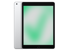 Apple iPad 9. Gen (2021) Silber günstig gebraucht kaufen