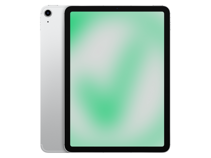 Apple iPad Air 4. Gen (2020) Silber günstig gebraucht kaufen