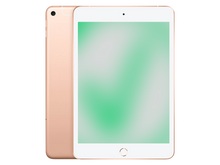 Apple iPad mini (2019) Gold günstig gebraucht kaufen