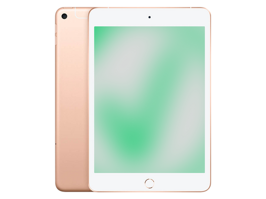Apple iPad mini (2019) Gold günstig gebraucht kaufen