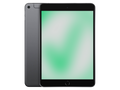 Apple iPad mini 5. Gen (2019), 256 GB, Wi-Fi + Cellular Space Gray