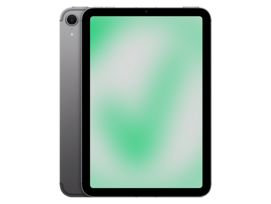 Apple iPad mini (2024) A17 Pro mini (2024) Space Grau Grau günstig gebraucht kaufen