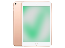 Apple iPad mini (2019) Gold günstig gebraucht kaufen