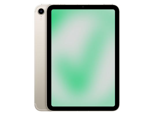 Apple iPad mini 6. Gen (2021) Polarstern günstig gebraucht kaufen