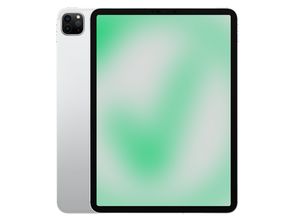 Apple iPad Pro 4. Gen (2020) Silber günstig gebraucht kaufen
