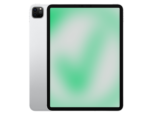 Apple iPad Pro 4. Gen (2020) Silber günstig gebraucht kaufen