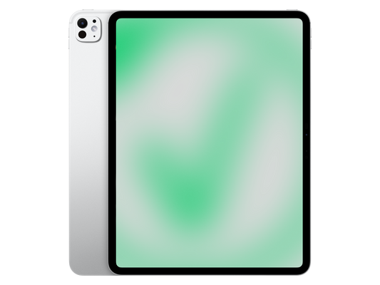 Apple iPad Pro (2024) 13" Pro (2024) Silber günstig gebraucht kaufen