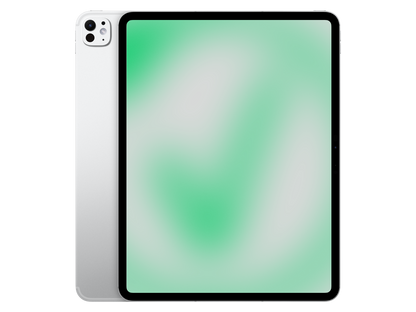 Apple iPad Pro (2025) 13" Apple M5 Pro (2025) Silber Silber günstig gebraucht kaufen