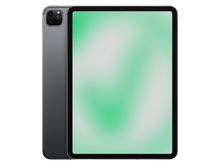 Apple iPad Pro 3. Gen (2021) 11" Space Grau günstig gebraucht kaufen
