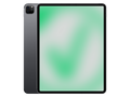 Outlet - Apple iPad Pro 4. Gen (2020) 12,9", 256 GB, Wi-Fi + Cellular Grigio Siderale