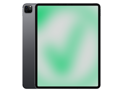 Apple iPad Pro 4. Gen (2020) Space Grau günstig gebraucht kaufen