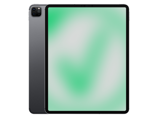 Apple iPad Pro 4. Gen (2020) Space Grau günstig gebraucht kaufen