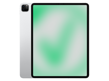 Apple iPad Pro 4. Gen (2020) Silber günstig gebraucht kaufen