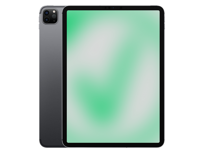 Apple iPad Pro 4. Gen (2020) Space Grau günstig gebraucht kaufen