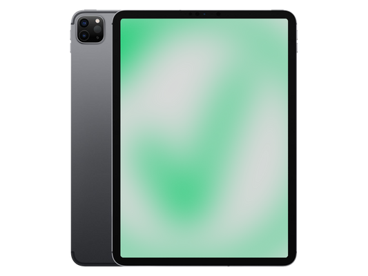Apple iPad Pro 4. Gen (2020) Space Grau günstig gebraucht kaufen