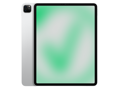Apple iPad Pro 5. Gen (2021) 12.9" Silber günstig gebraucht kaufen