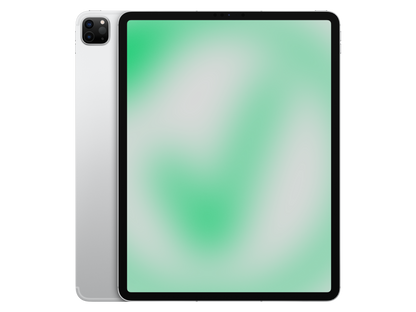 Apple iPad Pro 5. Gen (2021) 12.9" Silber günstig gebraucht kaufen