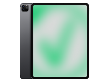 Apple iPad Pro 5. Gen (2021) 12.9" Space Grau günstig gebraucht kaufen
