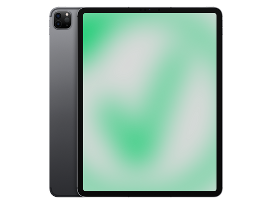 Apple iPad Pro 5. Gen (2021) 12.9" Space Grau günstig gebraucht kaufen