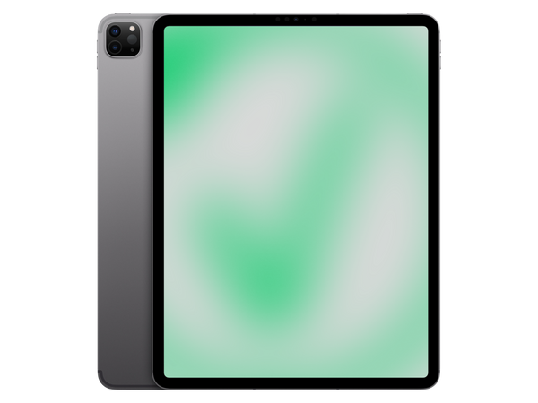 iPad Pro 6. Gen (2022) 12.9 Zoll 256 GB Wi-Fi + Cellular in Space