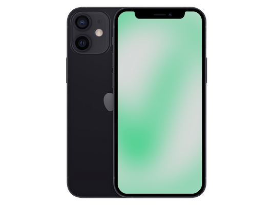Apple iPhone 12 mini Schwarz günstig gebraucht kaufen