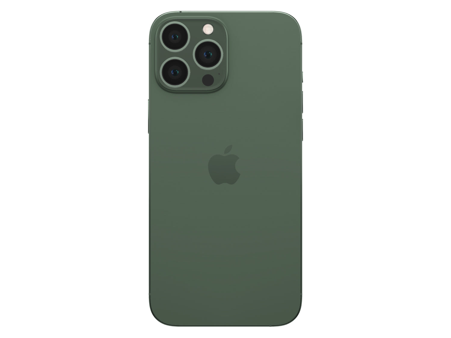 Buy iPhone 13 Pro 1 TB in Alpine Green – Revendo