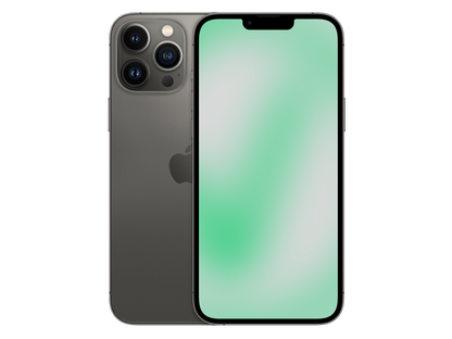 Apple iPhone 13 Pro Max Graphit günstig gebraucht kaufen