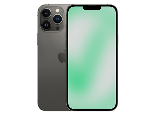 Apple iPhone 13 Pro Max Graphit günstig gebraucht kaufen