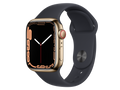 Apple Watch Series 7 GPS + Cellular, cassa in acciaio inossidabile 41 mm, Oro, cinturino personalizzato