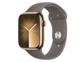 Apple Watch Series 9 GPS + Cellular, 45 mm Edelstahlgehäuse, Gold, individuelles Armband