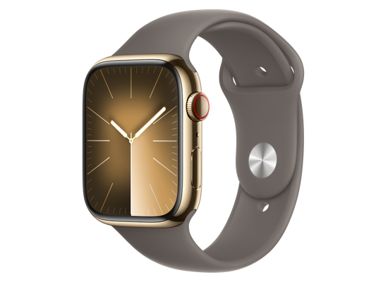 Apple Watch Series 9 45 mm Edelstahlgehäuse, Gold günstig gebraucht kaufen