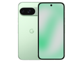 Google Pixel 9 Double SIM 256 Go Vert hiver