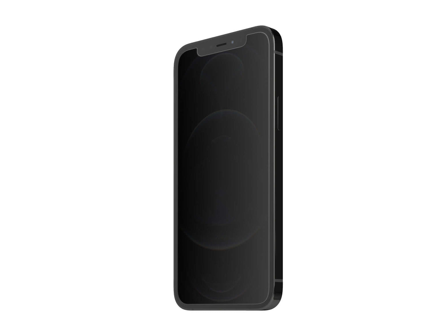 Revendo Glass iPhone 12 mini Privacy günstig kaufen